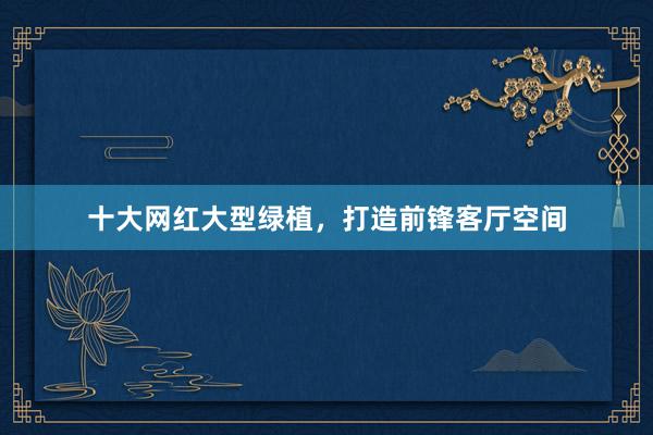 十大网红大型绿植，打造前锋客厅空间