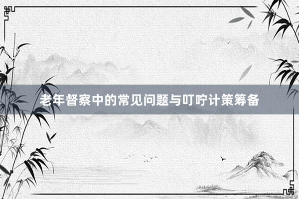 老年督察中的常见问题与叮咛计策筹备